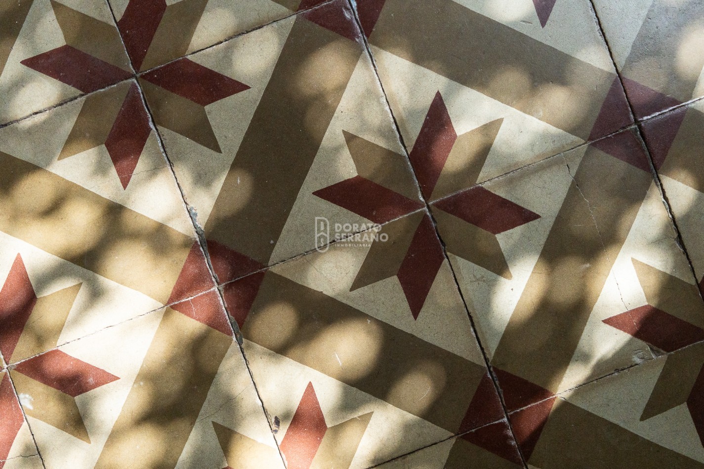 MAGNIFICA & VERSATIL / CANTIDAD + CALIDAD.