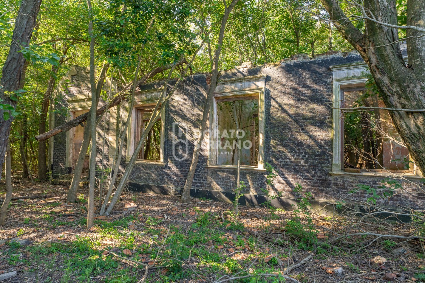 CAMPO AGRICOLA + ANTIGUA ESTACION OROÑO- GESSLER!