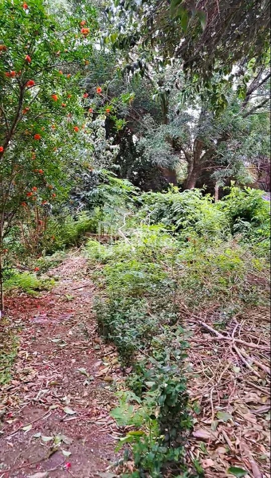 GRAN SUPERFICIE - TODOS LOS SERVICIOS.