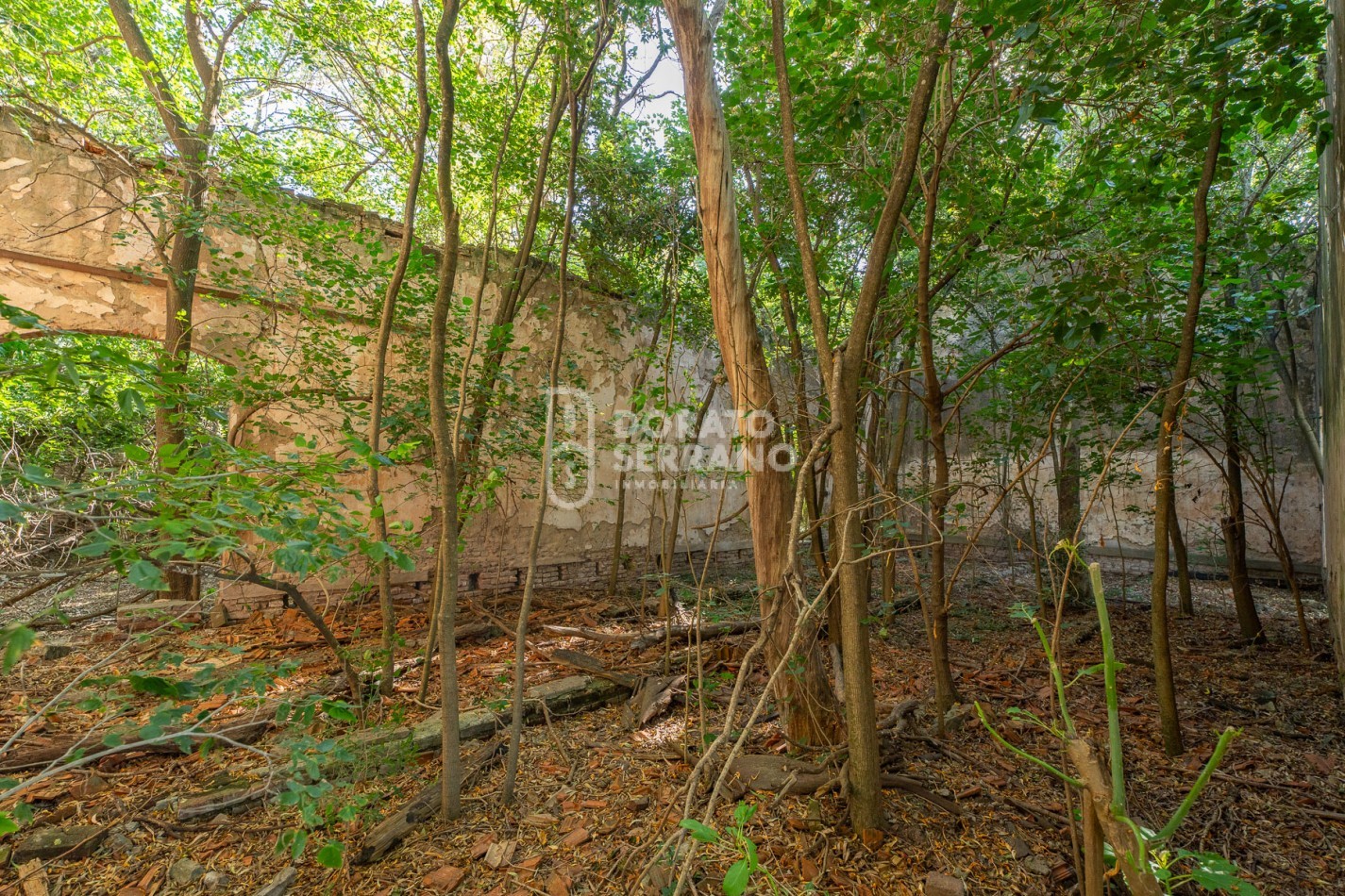 CAMPO AGRICOLA + ANTIGUA ESTACION OROÑO- GESSLER!