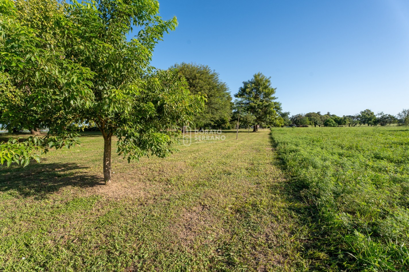 •	FINCA PREMIUM / DESVIO ARIJON / DE PELICULA! / 