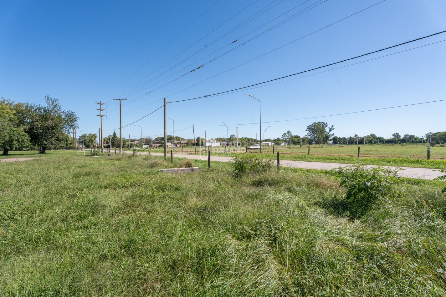 LOTE  ESTRATEGICO / MILLS Y B. SUR MER /   