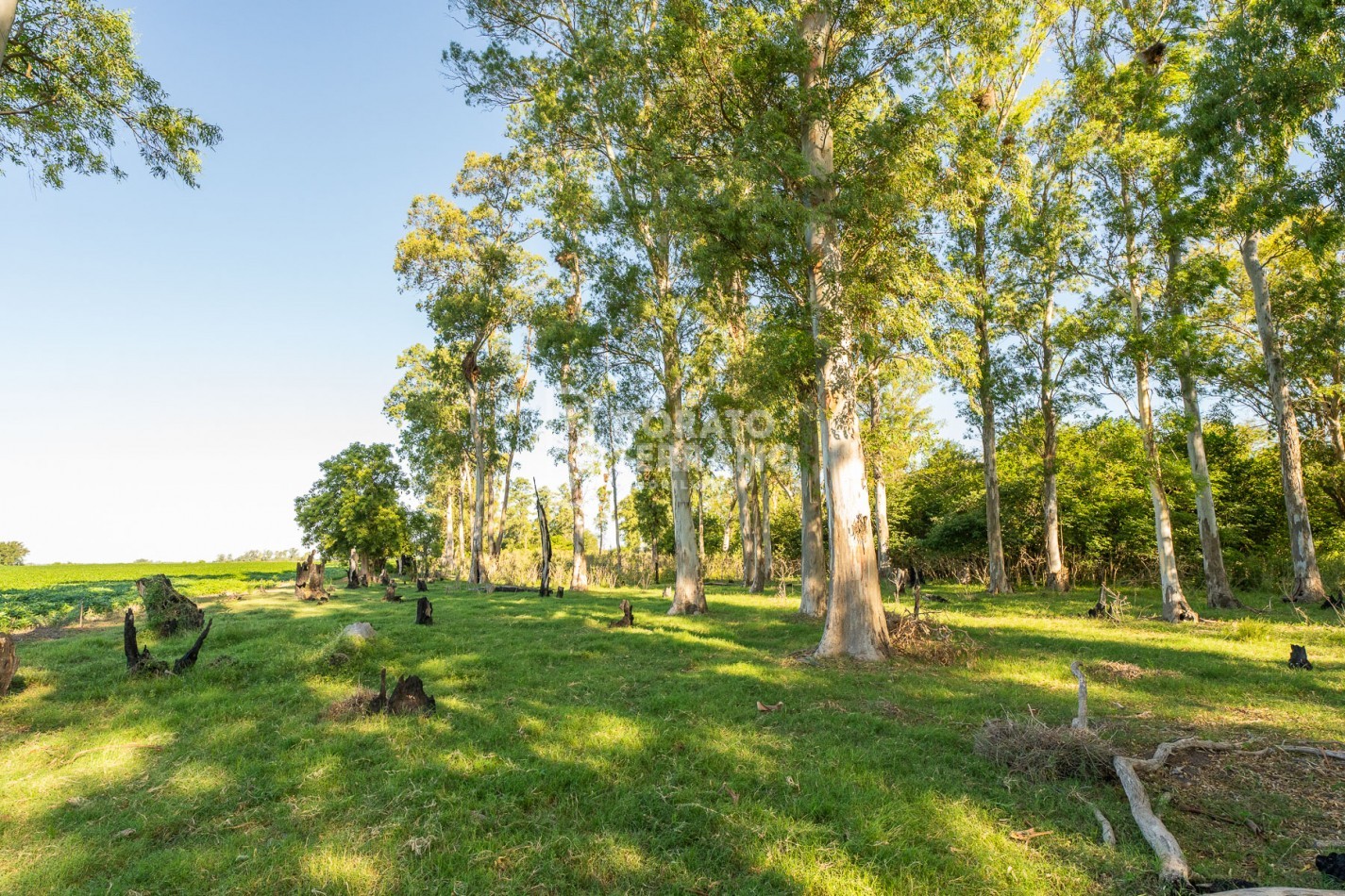 CAMPO AGRICOLA + ANTIGUA ESTACION OROÑO- GESSLER!