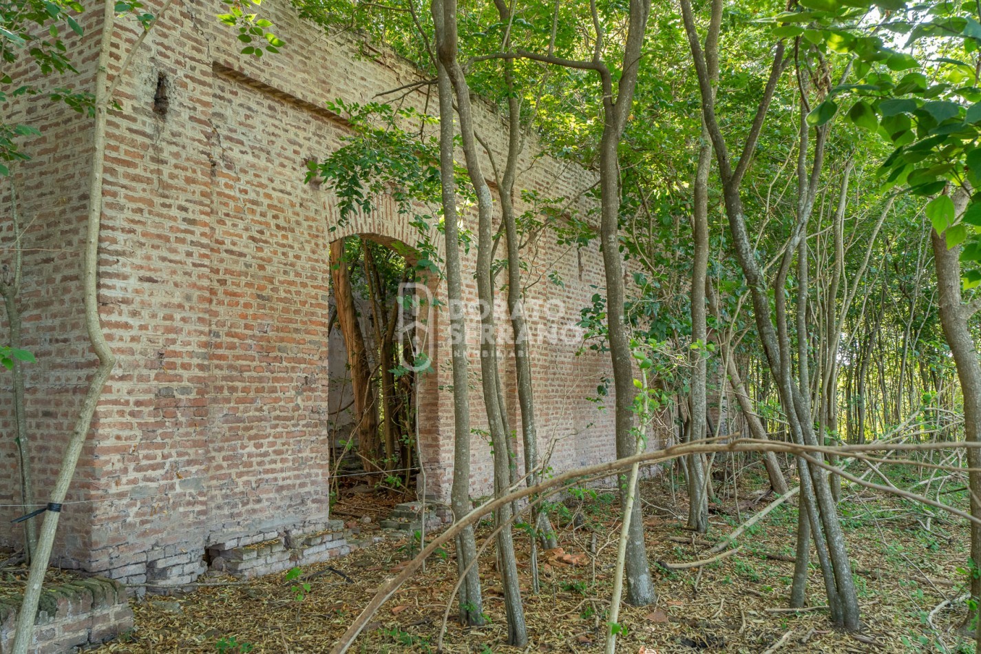 CAMPO AGRICOLA + ANTIGUA ESTACION OROÑO- GESSLER!