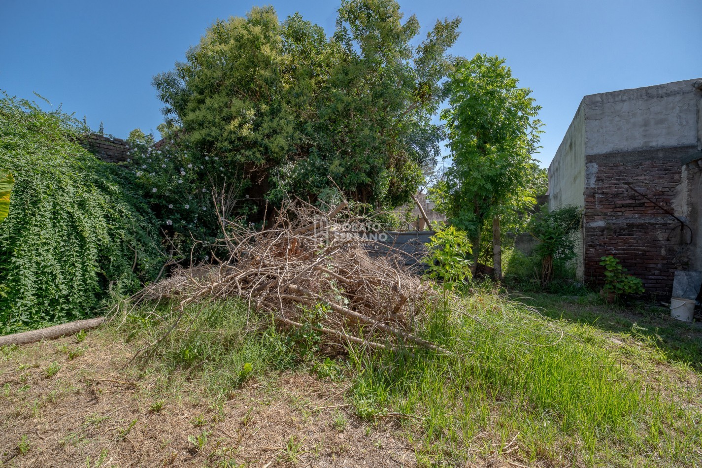 UNA GRAN OPORTUNIDAD! 
