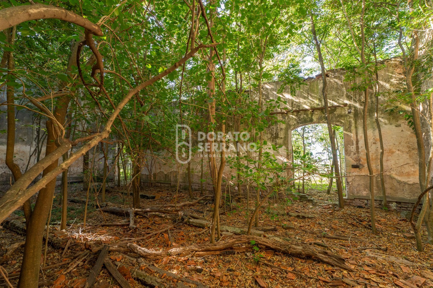 CAMPO AGRICOLA + ANTIGUA ESTACION OROÑO- GESSLER!