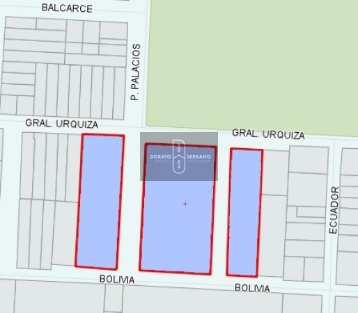 LOTEO FLOR DE LIS - EL FUTURO ES HOY! 