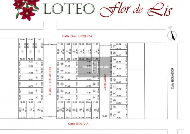 LOTEO FLOR DE LIS - EL FUTURO ES HOY! 