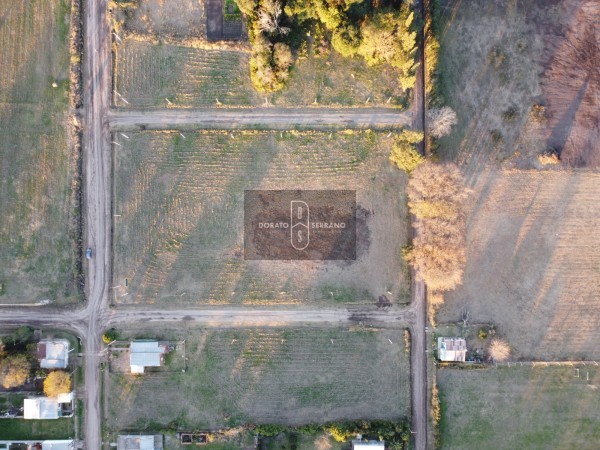 LOTEO FLOR DE LIS - EL FUTURO ES HOY! 