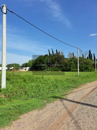 LOTEO FLOR DE LIS - EL FUTURO ES HOY! 