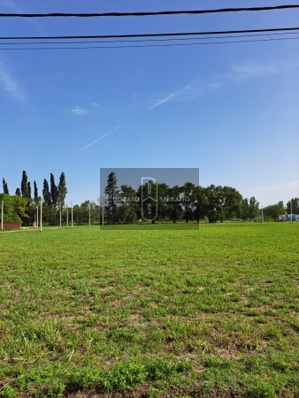 LOTEO FLOR DE LIS - EL FUTURO ES HOY! 