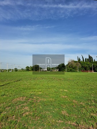 LOTEO FLOR DE LIS - EL FUTURO ES HOY! 