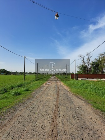 LOTEO FLOR DE LIS - EL FUTURO ES HOY! 