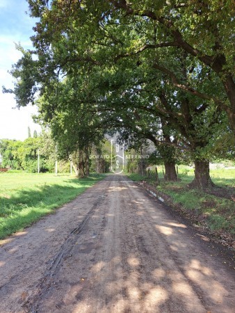 LOTEO FLOR DE LIS - EL FUTURO ES HOY! 