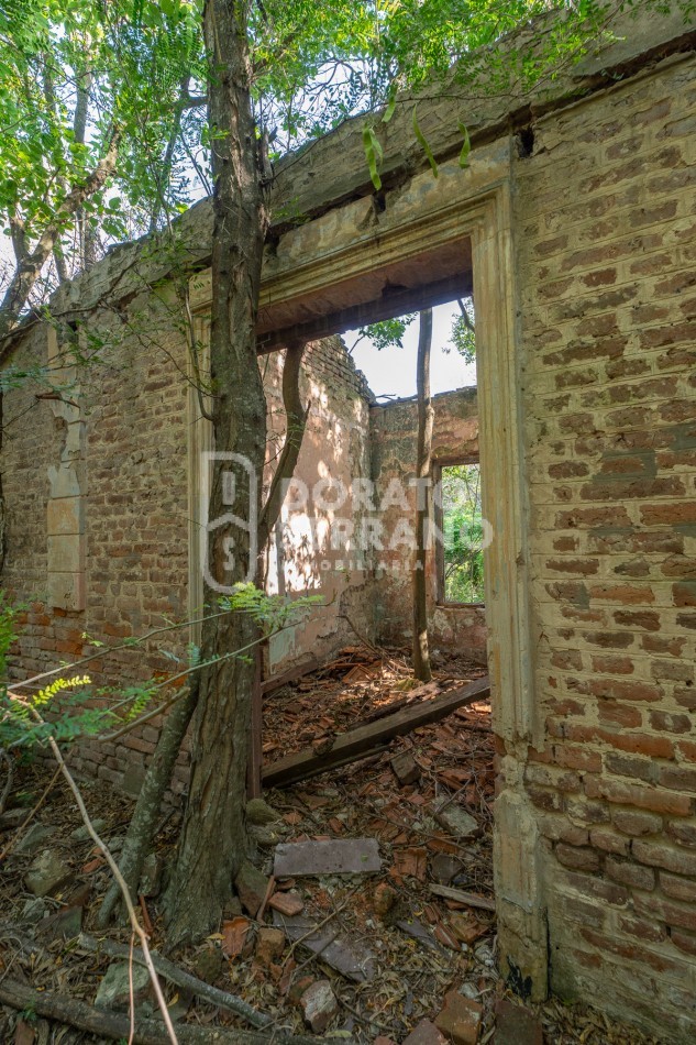 CAMPO AGRICOLA + ANTIGUA ESTACION OROÑO- GESSLER!