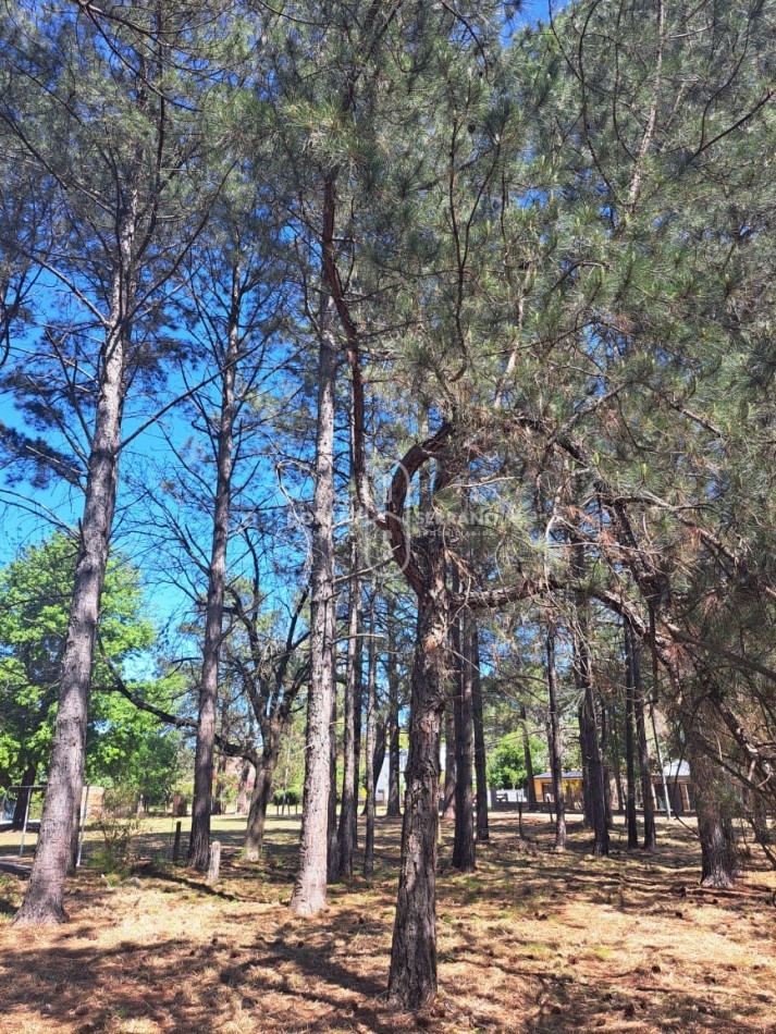 GUARDERIA NAUTICA! GRAN RENTABILIDAD + GRANDES LOTES + BUENAS INSTALACIONES! 