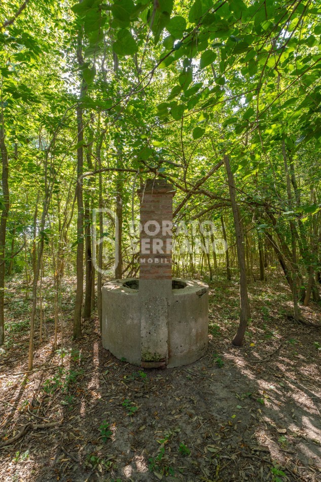 CAMPO AGRICOLA + ANTIGUA ESTACION OROÑO- GESSLER!