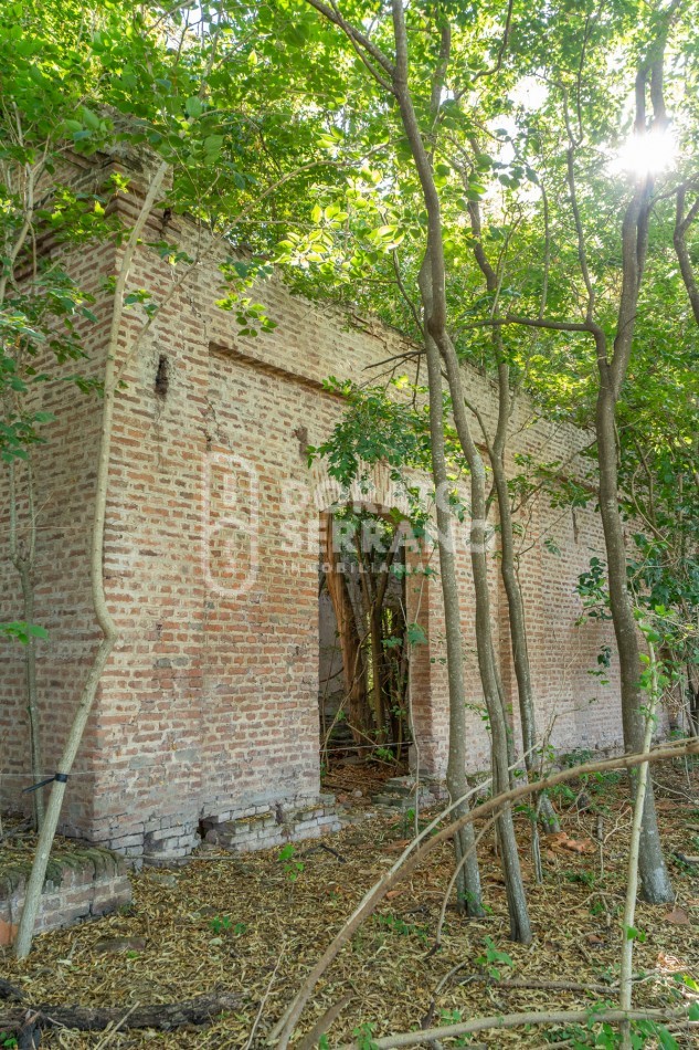 CAMPO AGRICOLA + ANTIGUA ESTACION OROÑO- GESSLER!