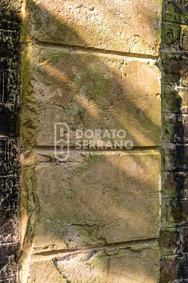 CAMPO AGRICOLA + ANTIGUA ESTACION OROÑO- GESSLER!