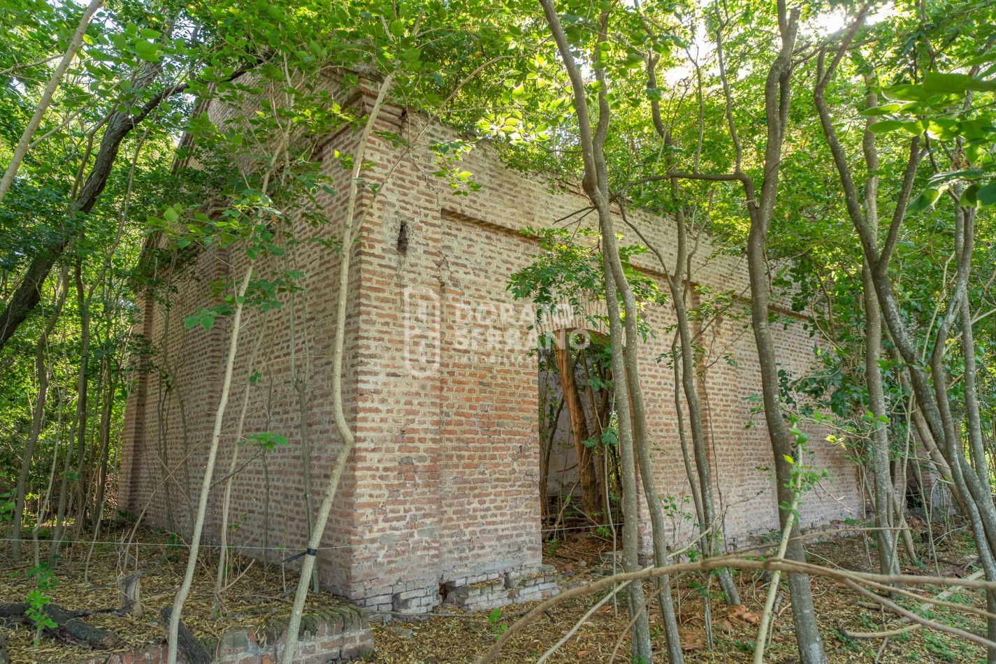 CAMPO AGRICOLA + ANTIGUA ESTACION OROÑO- GESSLER!