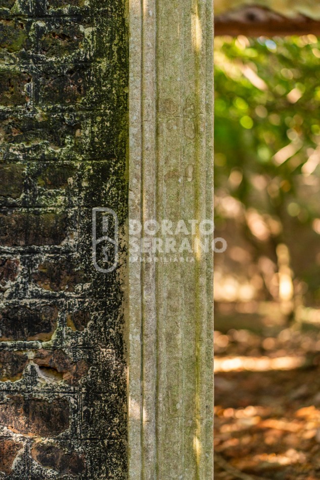 CAMPO AGRICOLA + ANTIGUA ESTACION OROÑO- GESSLER!