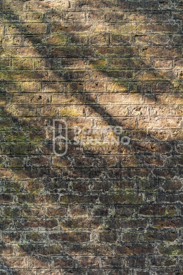 CAMPO AGRICOLA + ANTIGUA ESTACION OROÑO- GESSLER!