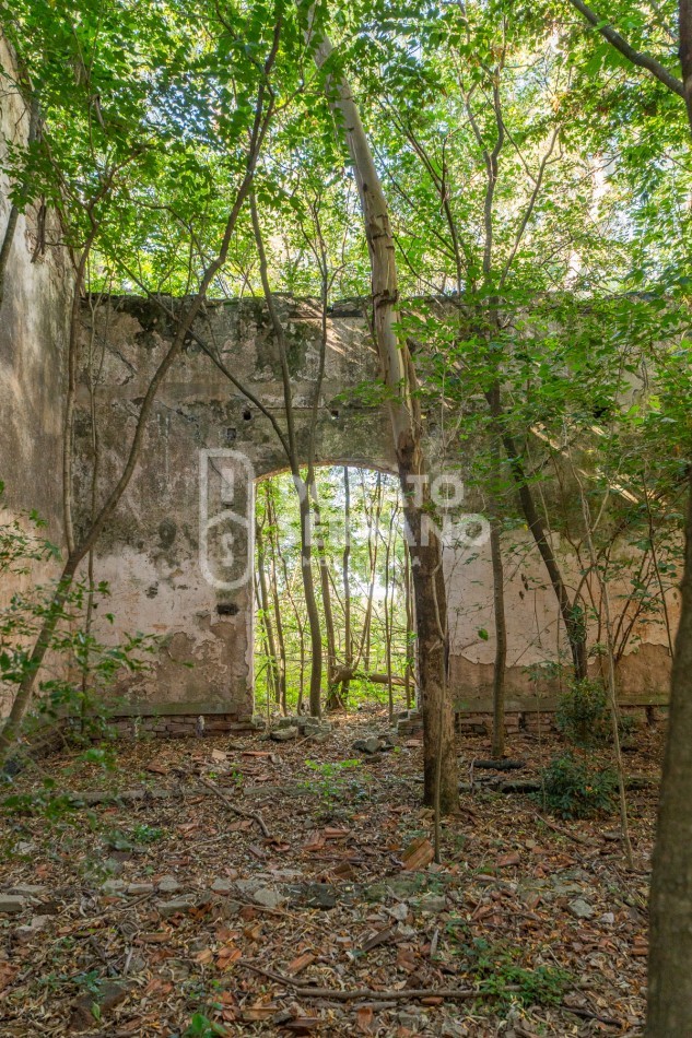 CAMPO AGRICOLA + ANTIGUA ESTACION OROÑO- GESSLER!