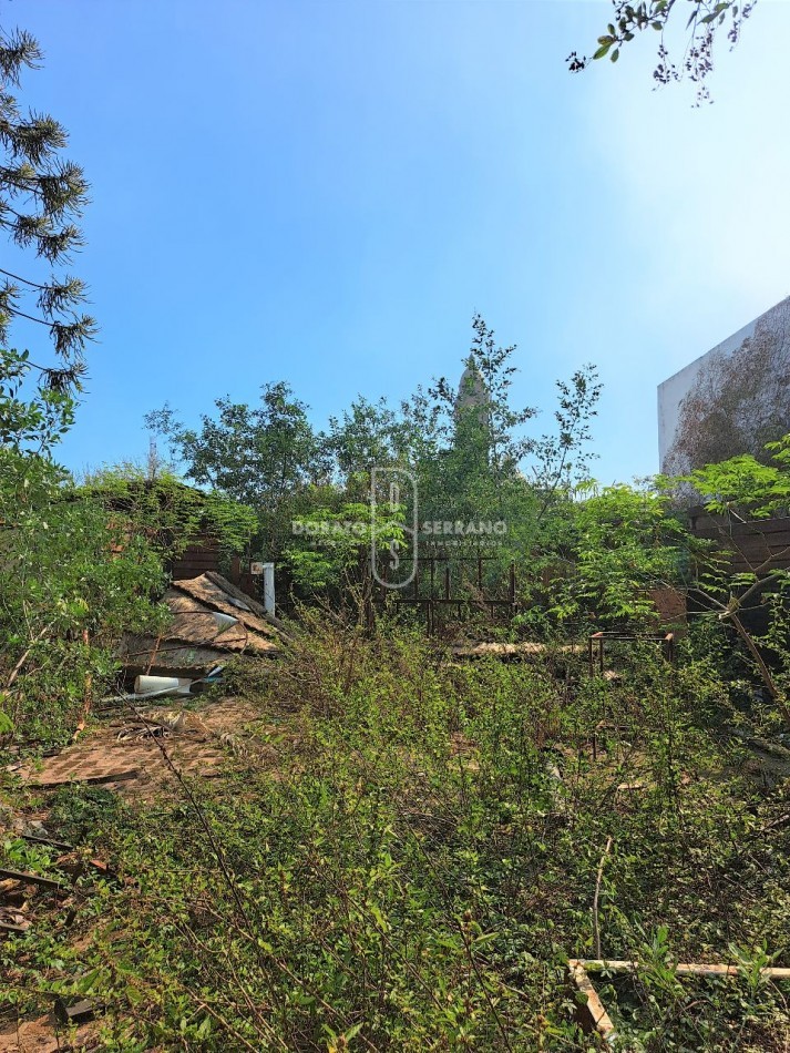 LOCAL FRENTISTA + LOTE Y CONSTRUCCION INTERNOS / AREA CENTRAL.  