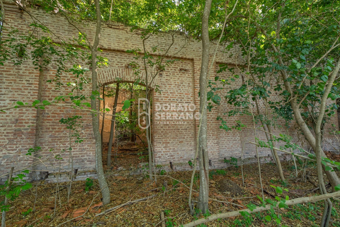 CAMPO AGRICOLA + ANTIGUA ESTACION OROÑO- GESSLER!