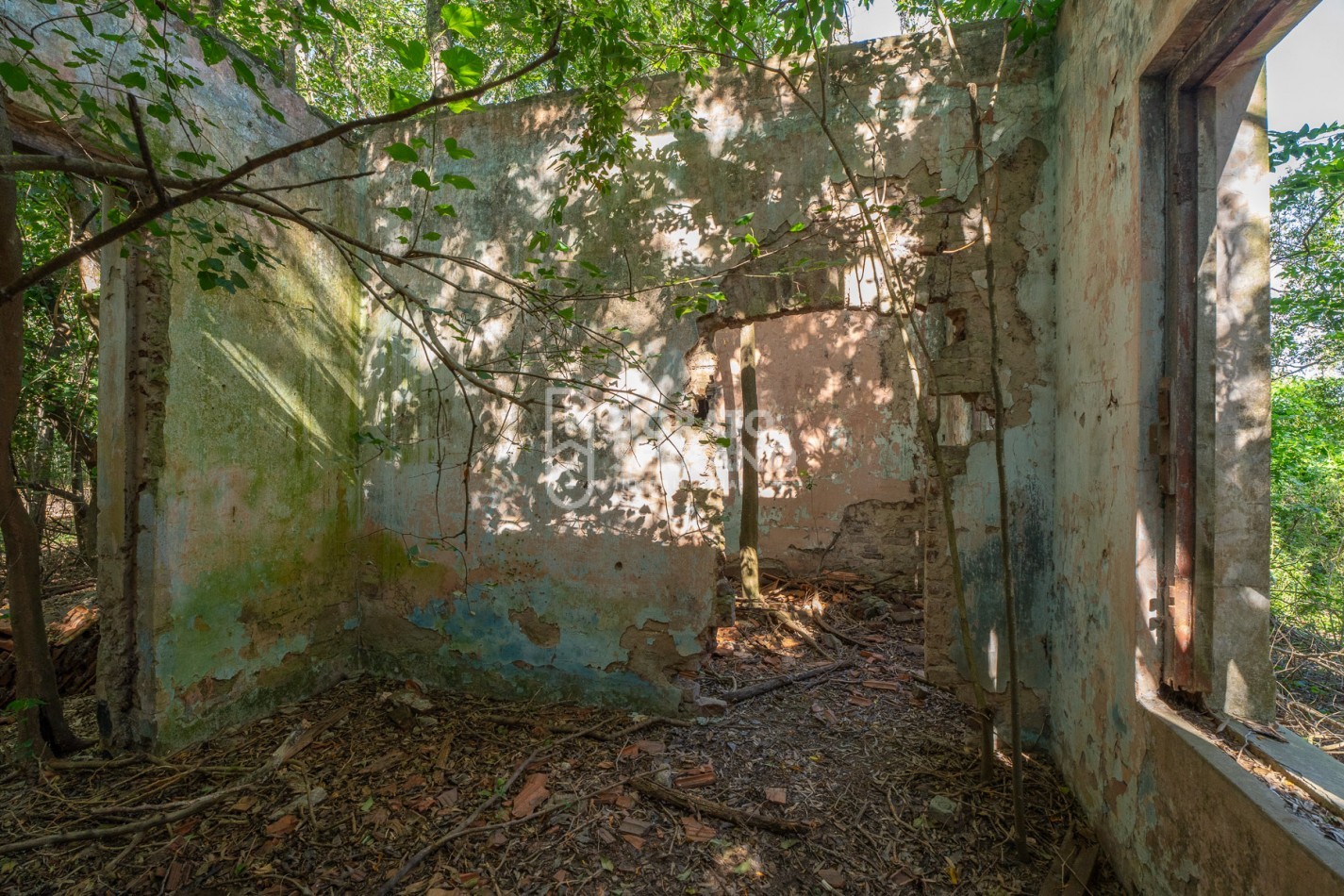 CAMPO AGRICOLA + ANTIGUA ESTACION OROÑO- GESSLER!