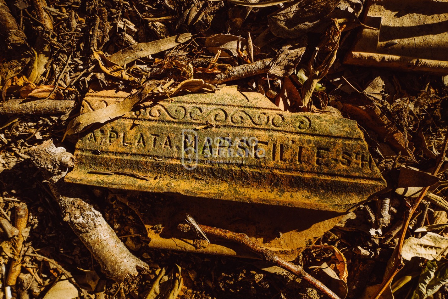 CAMPO AGRICOLA + ANTIGUA ESTACION OROÑO- GESSLER!