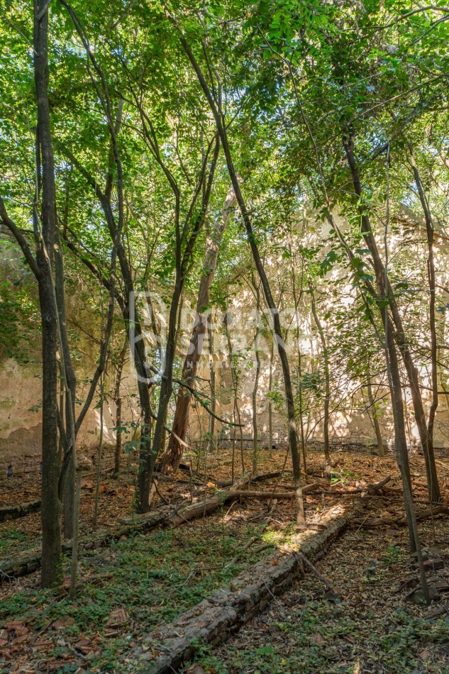 CAMPO AGRICOLA + ANTIGUA ESTACION OROÑO- GESSLER!