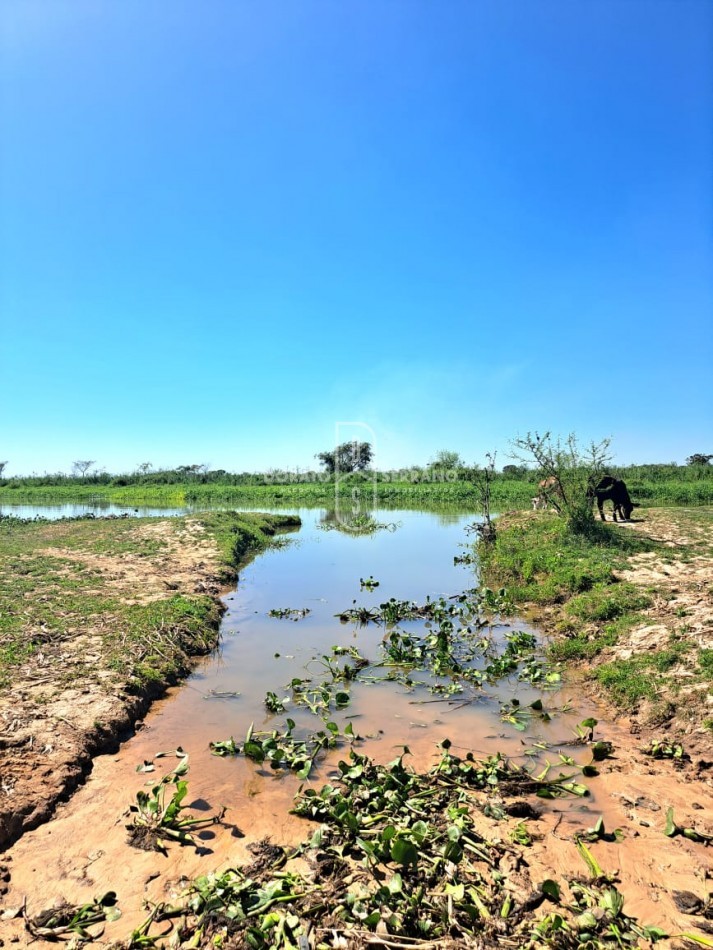 GUARDERIA NAUTICA! GRAN RENTABILIDAD + GRANDES LOTES + BUENAS INSTALACIONES! 