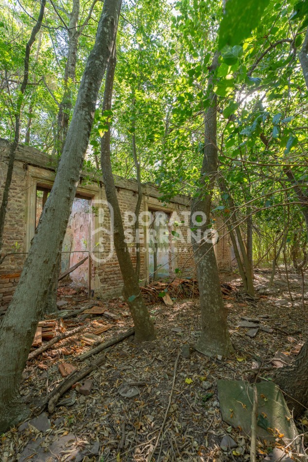 CAMPO AGRICOLA + ANTIGUA ESTACION OROÑO- GESSLER!