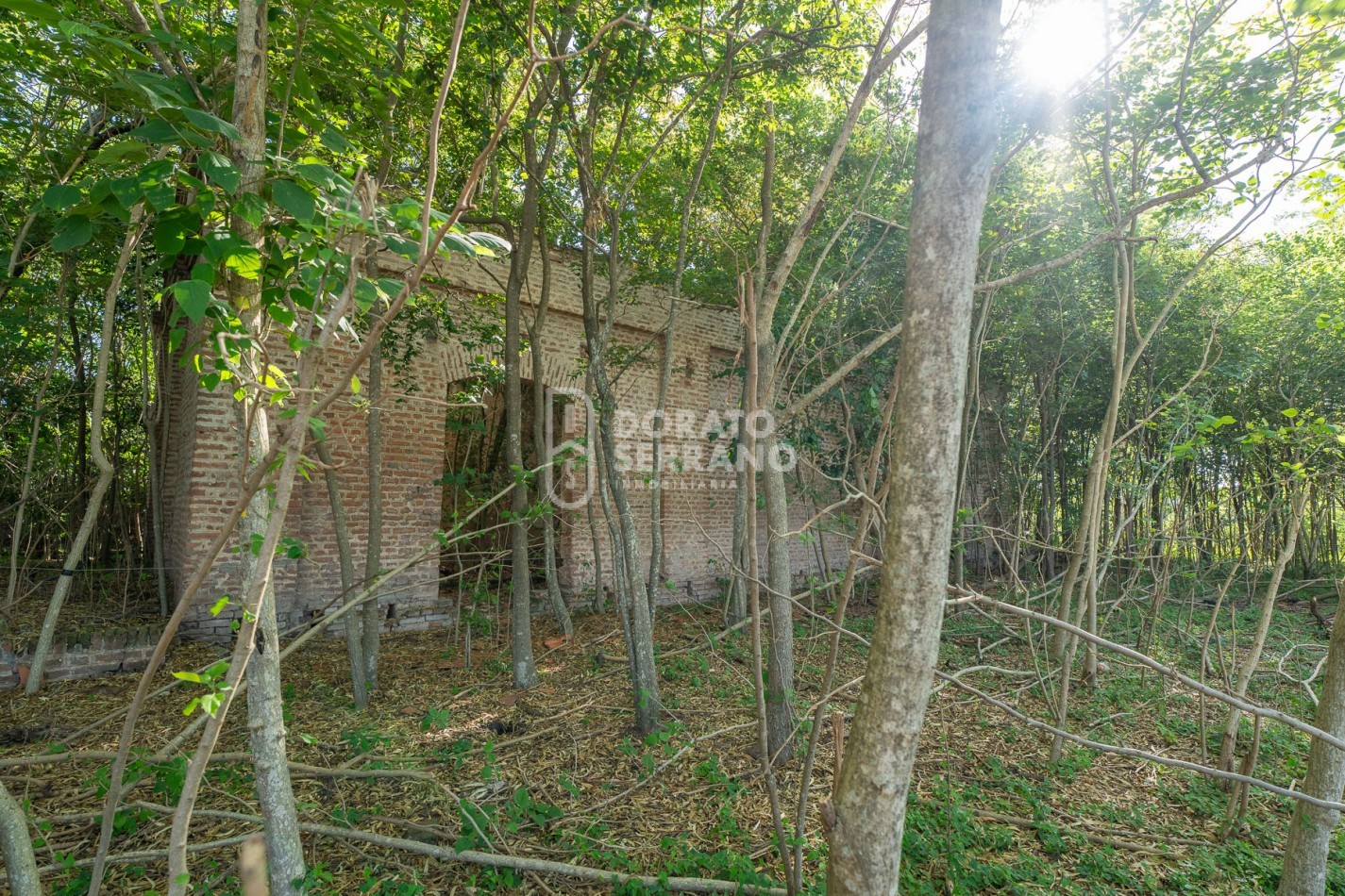 CAMPO AGRICOLA + ANTIGUA ESTACION OROÑO- GESSLER!