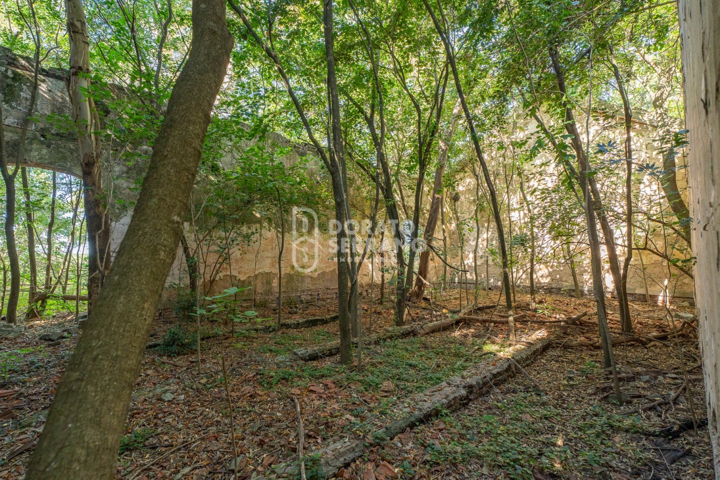 CAMPO AGRICOLA + ANTIGUA ESTACION OROÑO- GESSLER!