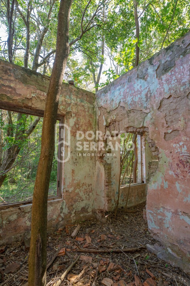 CAMPO AGRICOLA + ANTIGUA ESTACION OROÑO- GESSLER!