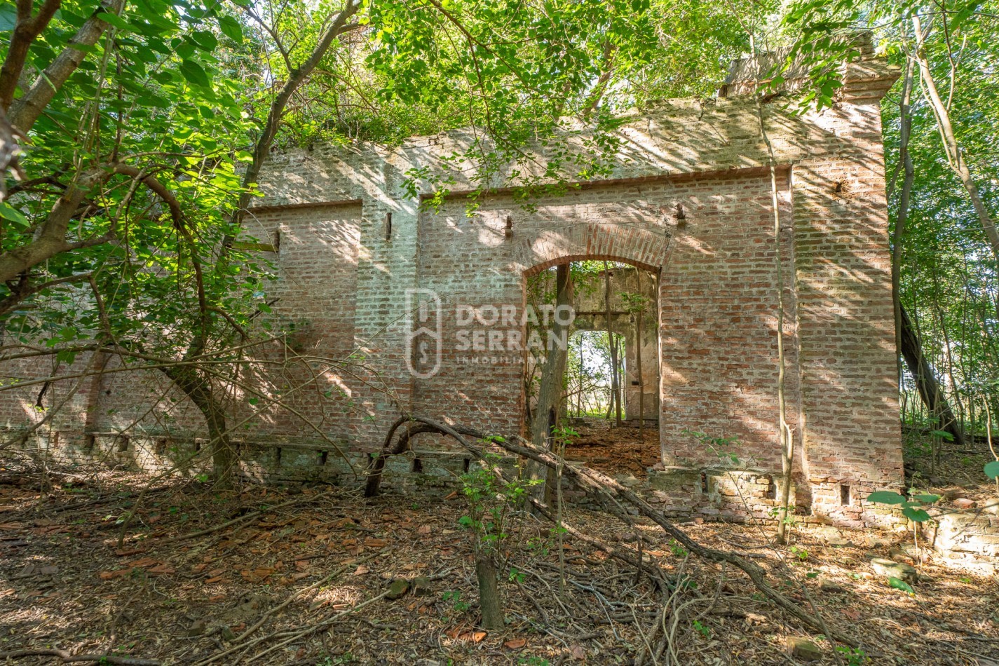 CAMPO AGRICOLA + ANTIGUA ESTACION OROÑO- GESSLER!