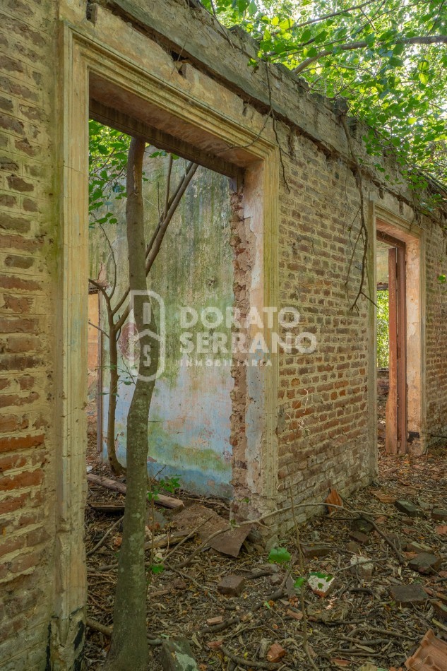 CAMPO AGRICOLA + ANTIGUA ESTACION OROÑO- GESSLER!