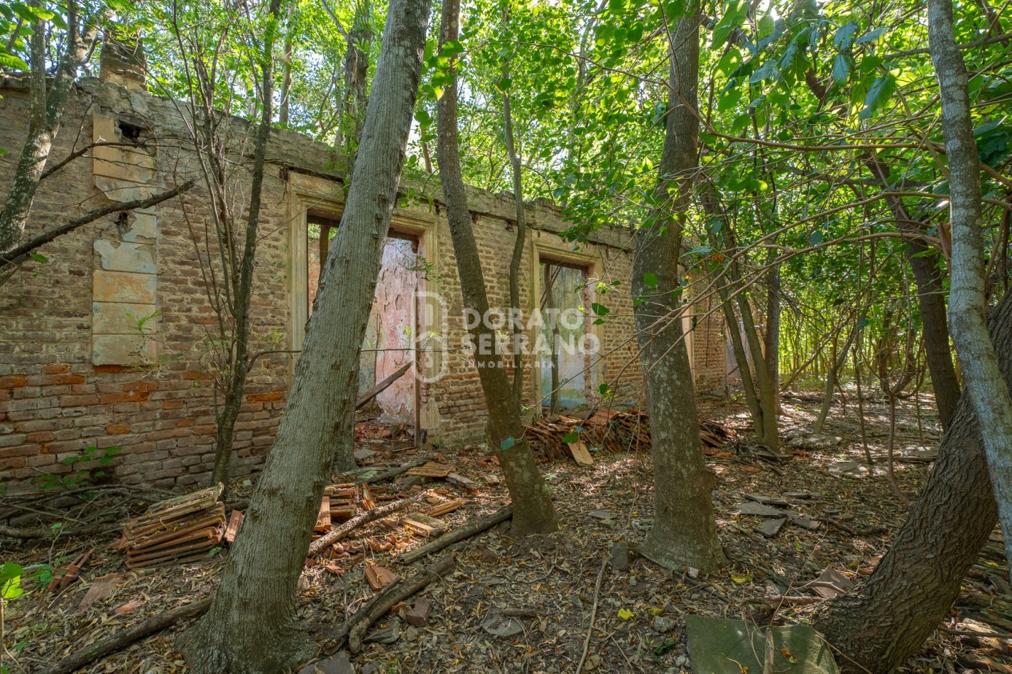 CAMPO AGRICOLA + ANTIGUA ESTACION OROÑO- GESSLER!