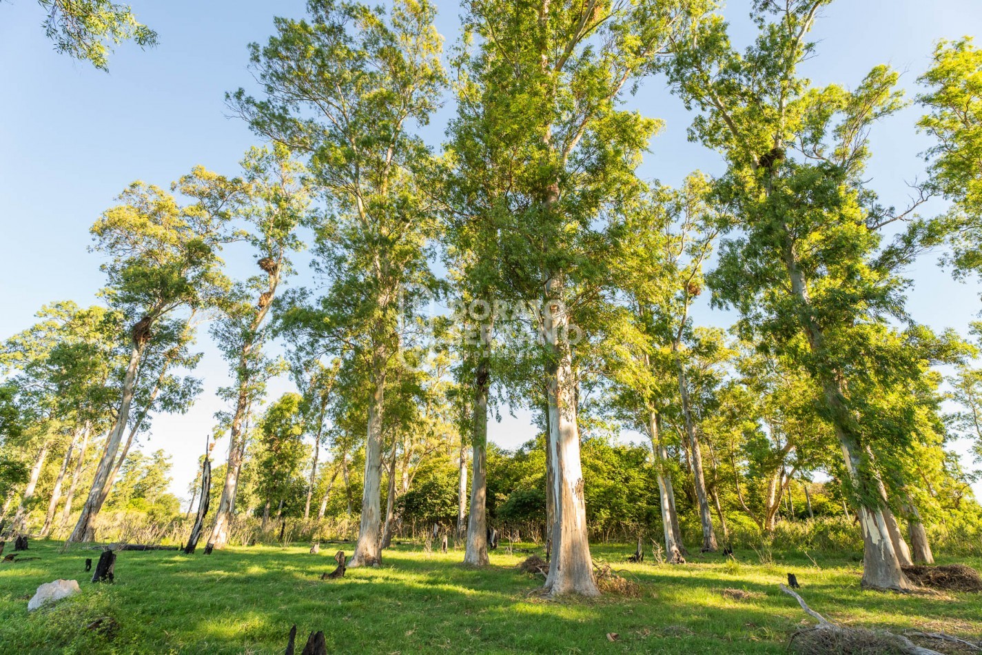 CAMPO AGRICOLA + ANTIGUA ESTACION OROÑO- GESSLER!