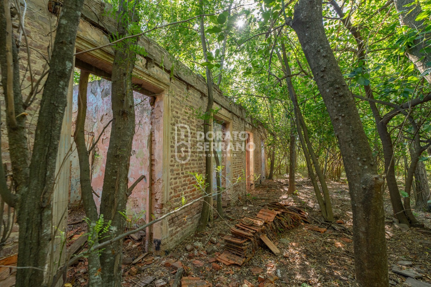 CAMPO AGRICOLA + ANTIGUA ESTACION OROÑO- GESSLER!