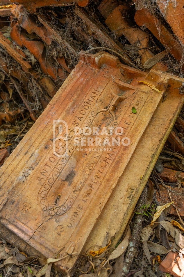 CAMPO AGRICOLA + ANTIGUA ESTACION OROÑO- GESSLER!