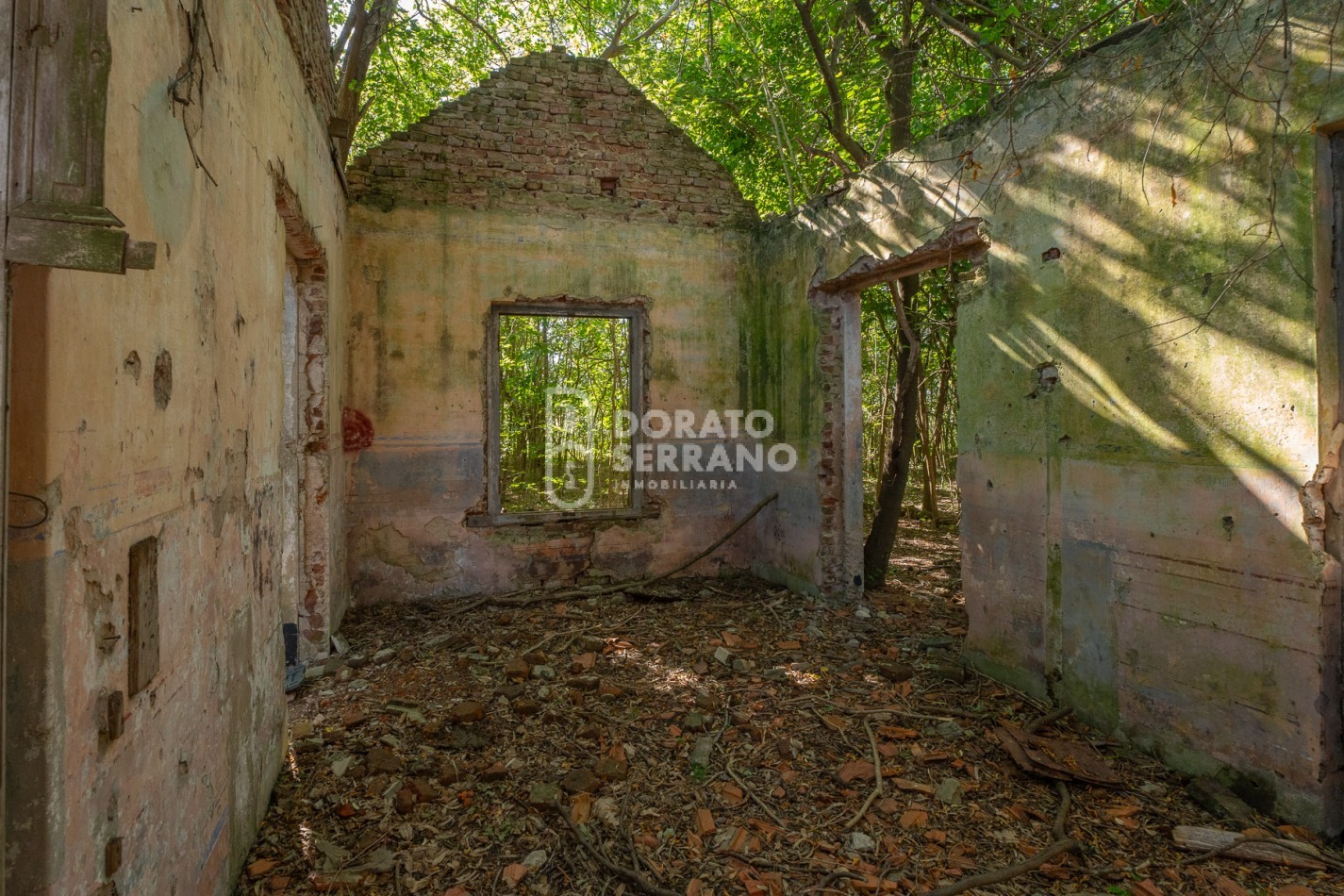 CAMPO AGRICOLA + ANTIGUA ESTACION OROÑO- GESSLER!