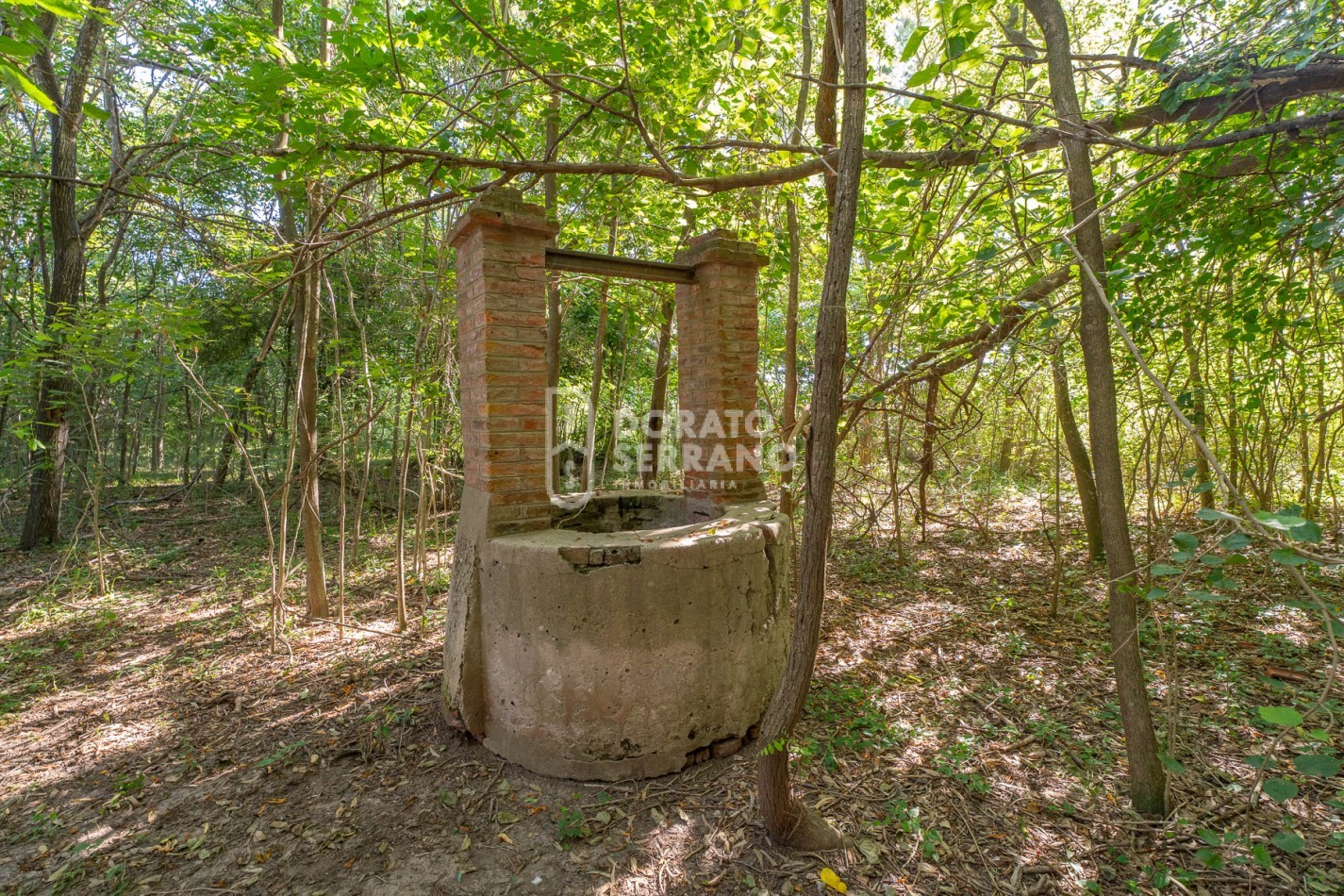 CAMPO AGRICOLA + ANTIGUA ESTACION OROÑO- GESSLER!