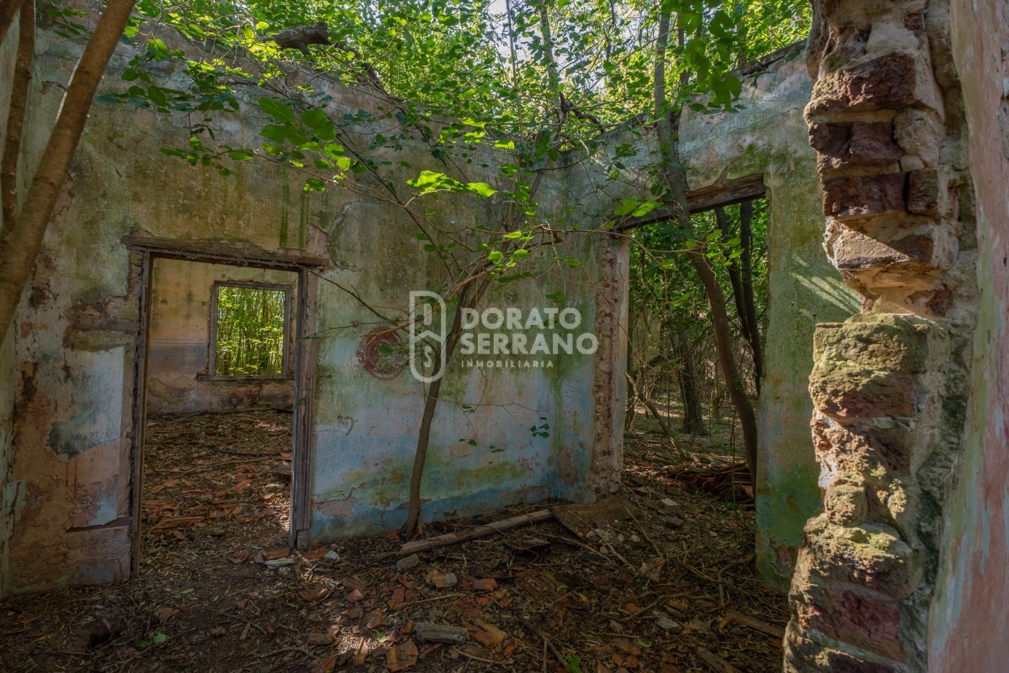 CAMPO AGRICOLA + ANTIGUA ESTACION OROÑO- GESSLER!