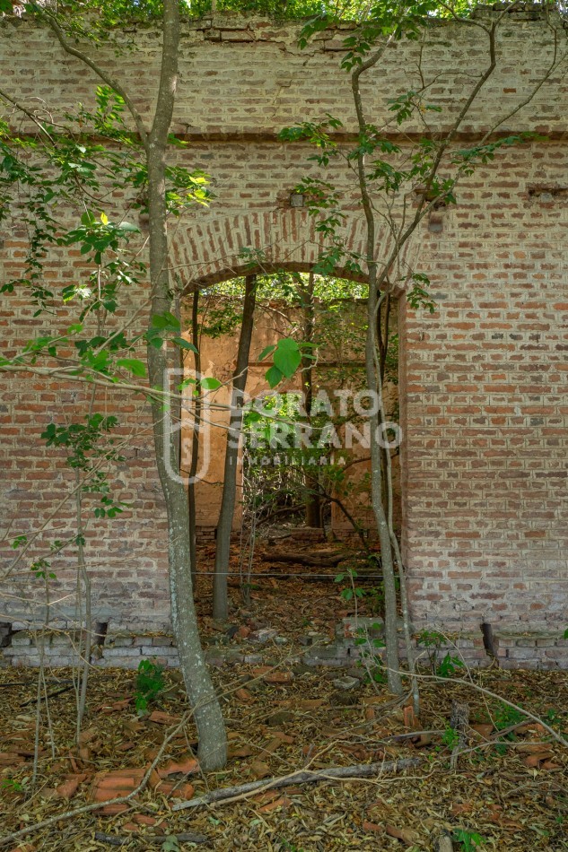 CAMPO AGRICOLA + ANTIGUA ESTACION OROÑO- GESSLER!