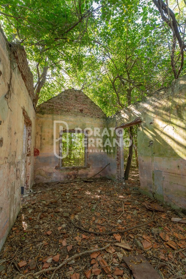 CAMPO AGRICOLA + ANTIGUA ESTACION OROÑO- GESSLER!