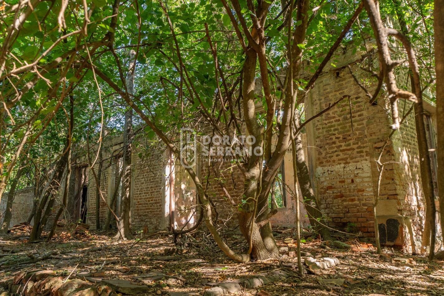 CAMPO AGRICOLA + ANTIGUA ESTACION OROÑO- GESSLER!