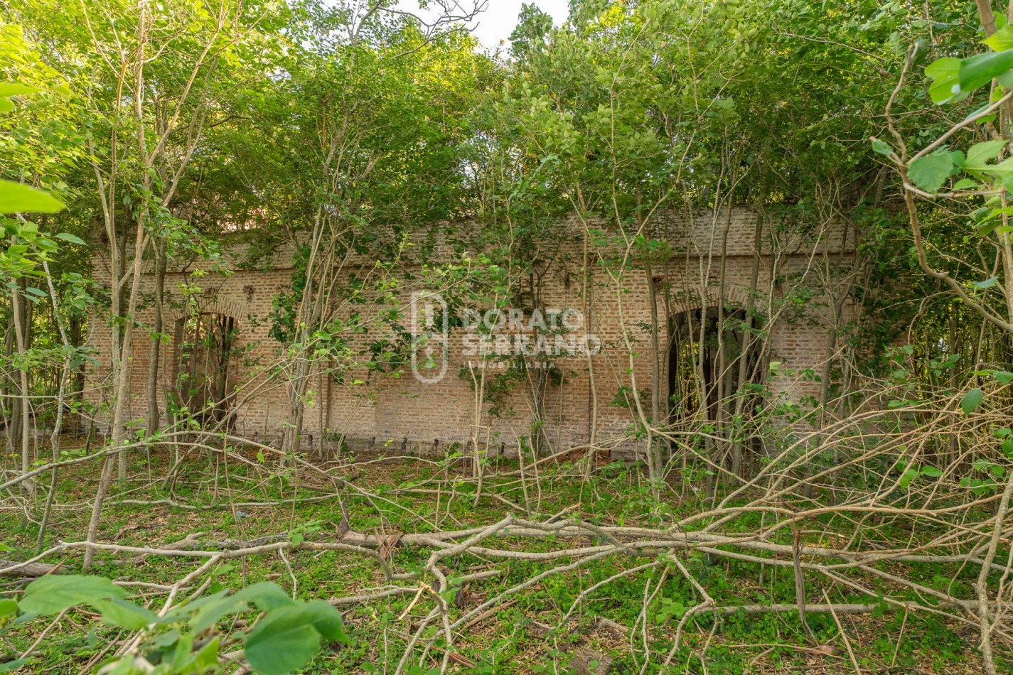 CAMPO AGRICOLA + ANTIGUA ESTACION OROÑO- GESSLER!